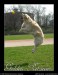 Jumping_Golden_Retriever_by_hayhey.jpg